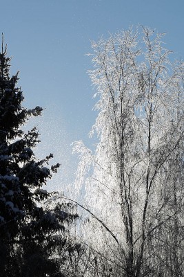 IMG_19949.jpg